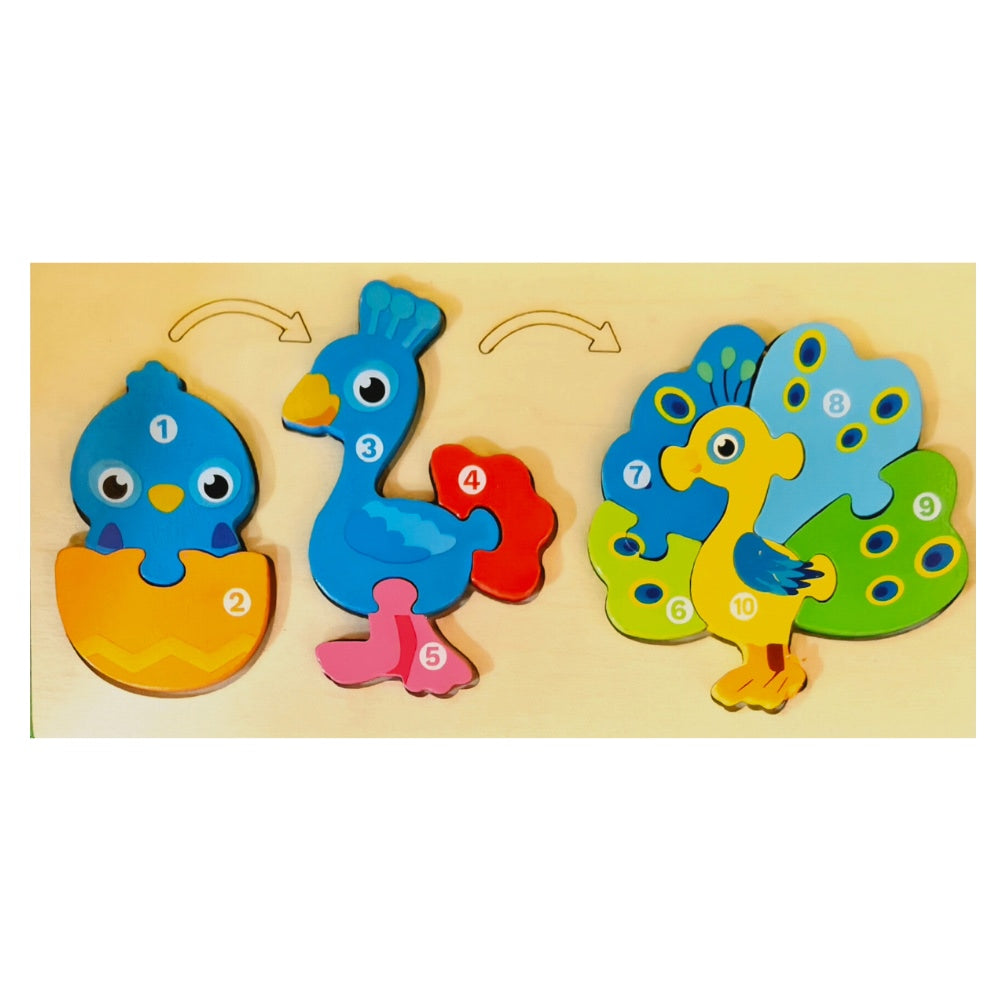 Lifecycle Jigsaw Puzzle (Assorted Designs)