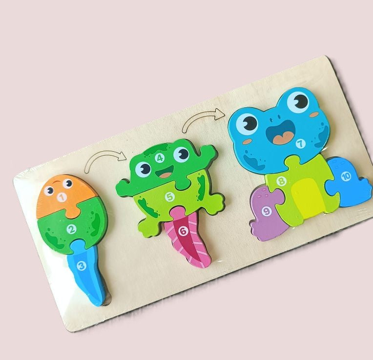 Lifecycle Jigsaw Puzzle (Assorted Designs)