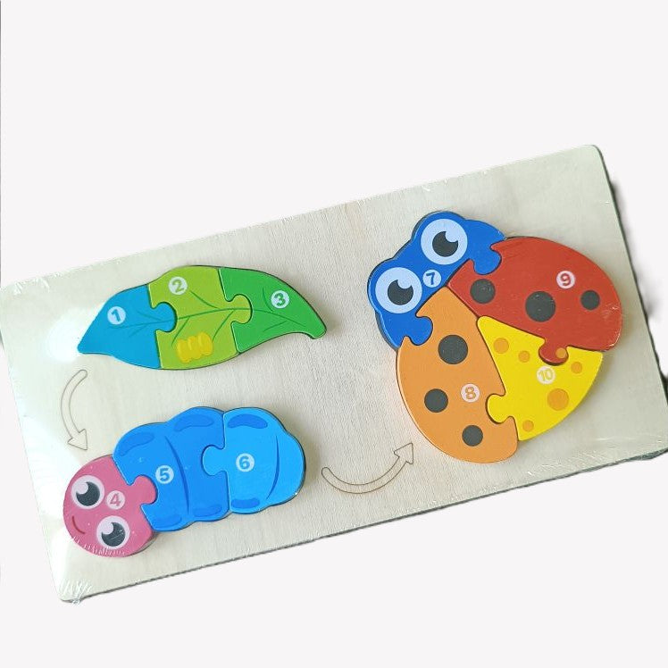 Lifecycle Jigsaw Puzzle (Assorted Designs)