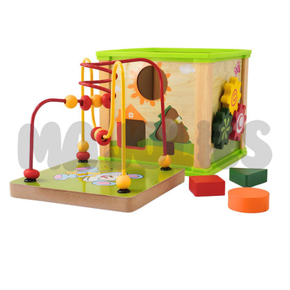 5-in-1 Activity Cube