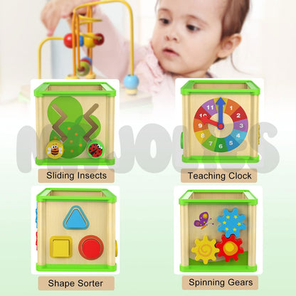 5-in-1 Activity Cube