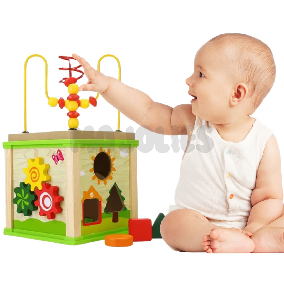 5-in-1 Activity Cube