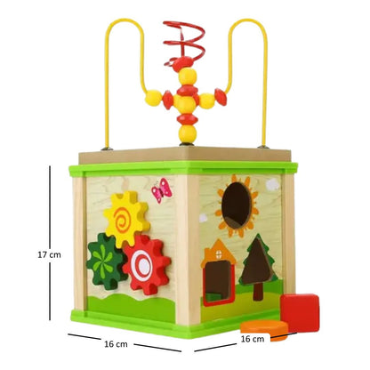 5-in-1 Activity Cube