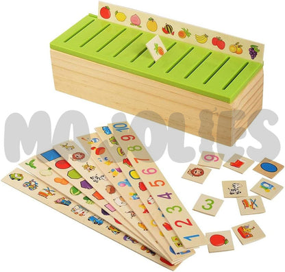 Classification Box (Matching Game)