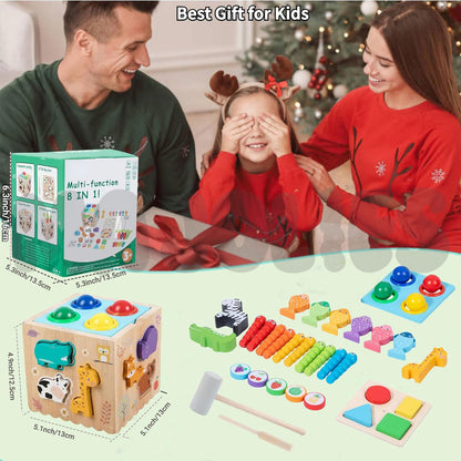 8 in 1 Activity Cube