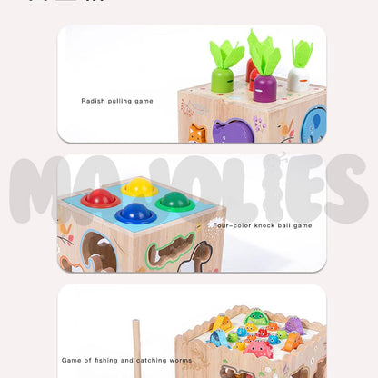 8 in 1 Activity Cube