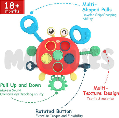 Multi-sensory Pull String Toy - Crab