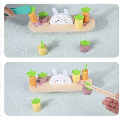 Balance Rabbit