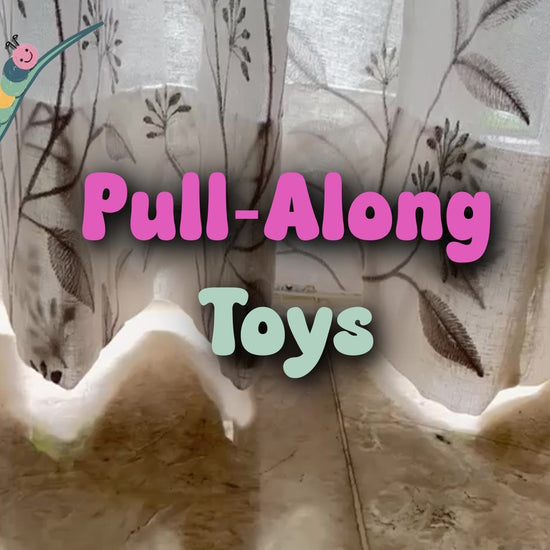 Majolies Pull Along Toys 