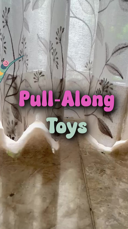 Majolies Pull Along Toys 